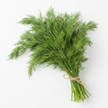 Dill