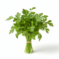 Parsley